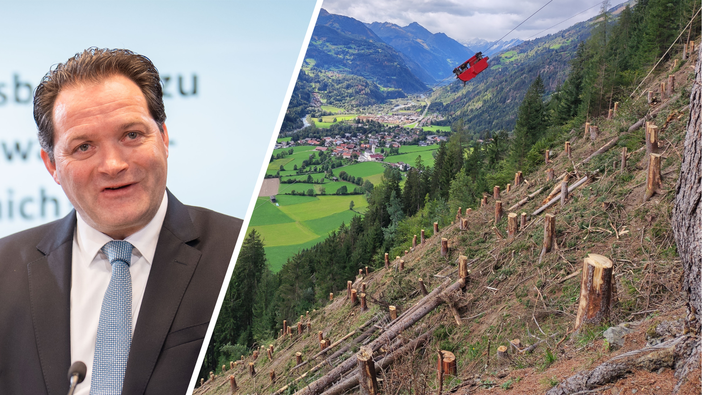 55 Prozent Schadholz: Was dem Wald in Österreich zusetzt