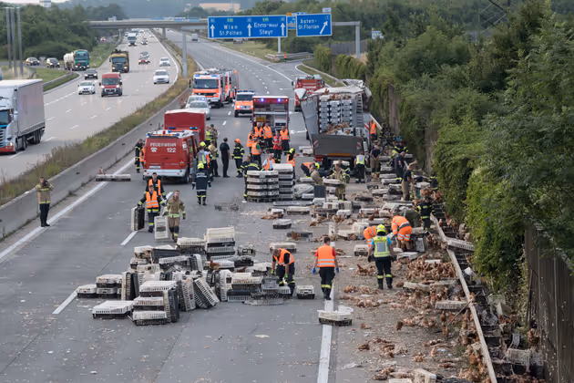 Tausende Tiere waren bei dem Unfall im Frühverkehr verendet.