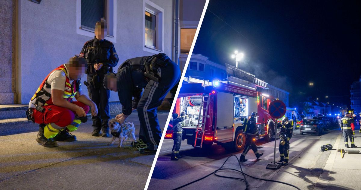 K-chenbrand-in-Innsbruck-Feuerwehr-rettete-Frau-und-Hund-aus-Wohnung