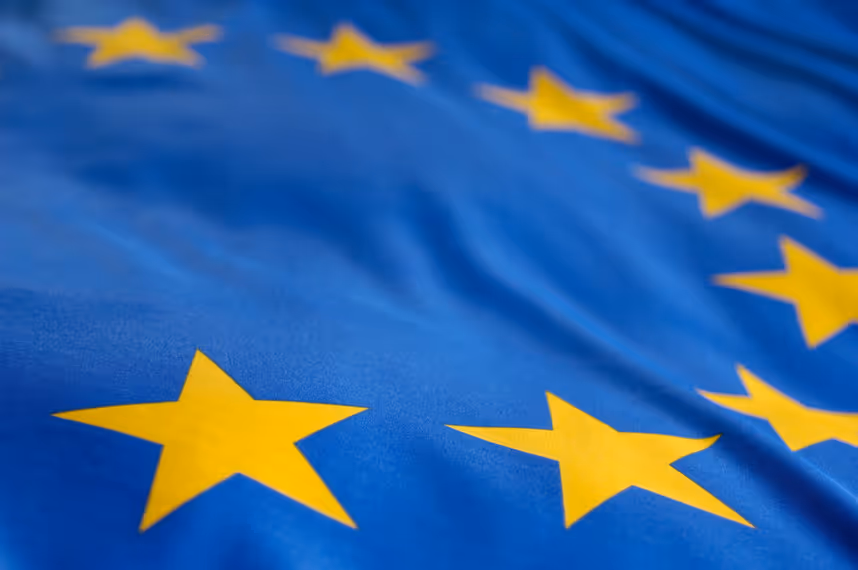 Europawahl 2019