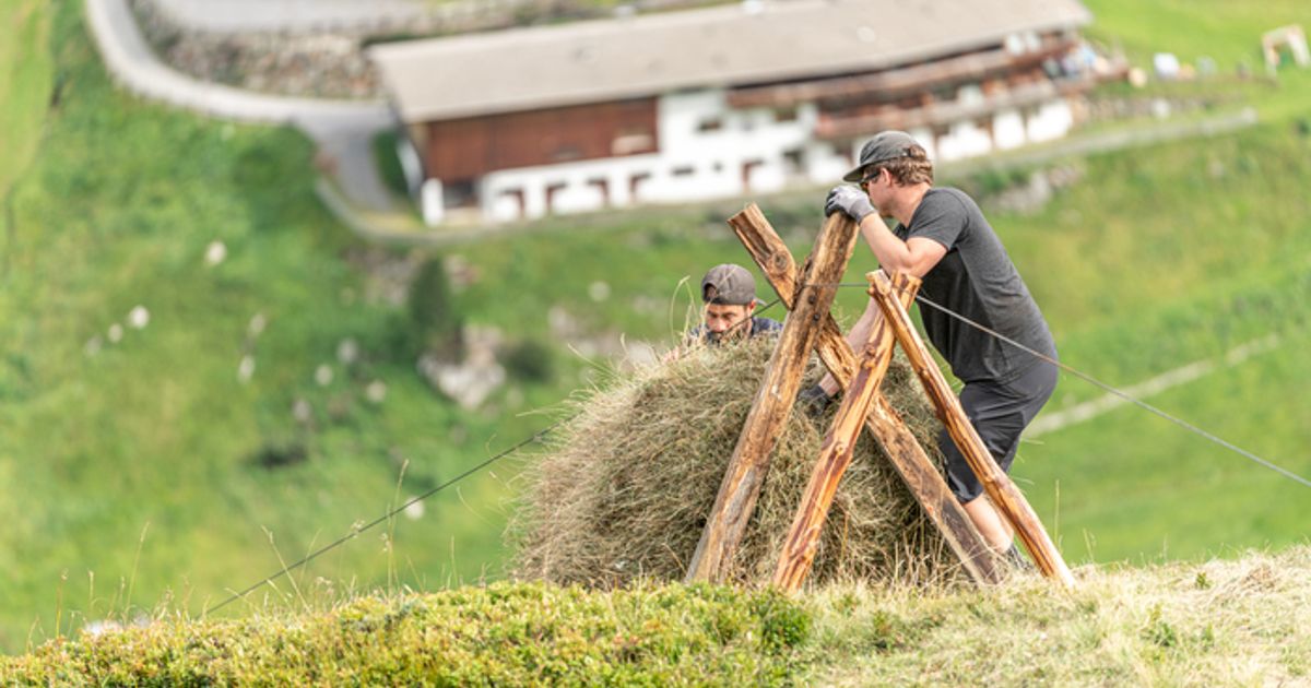 Kraftraubend-und-gef-hrlich-In-Gurgl-wird-das-Heu-noch-ins-Tal-geschossen