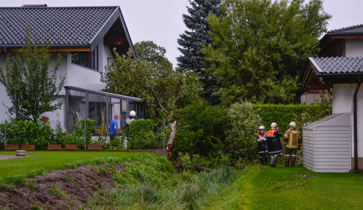 Ein Baum stürzte in Pettnau in einen Garten - die Feuerwehr hilft.