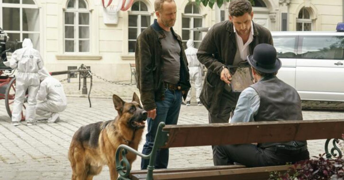 Neue-Folgen-von-Kommissar-Rex-Der-Held-ist-immer-der-Hund-
