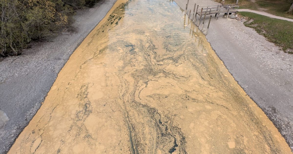 Nat-rlicher-Teppich-Darum-leuchtet-der-Kanal-bei-Heiterwang-ockerfarben