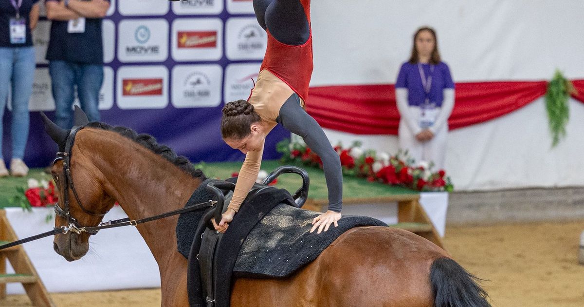 Voltigieren-bleibt-eine-Tiroler-Tradition-Ludwiczek-steht-vor-einer-goldenen-Zukunft