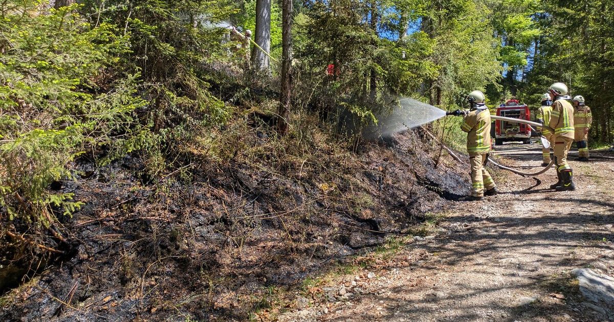 Waldbrand-in-Thiersee-breitete-sich-dank-Feuerwehren-nicht-weiter-aus
