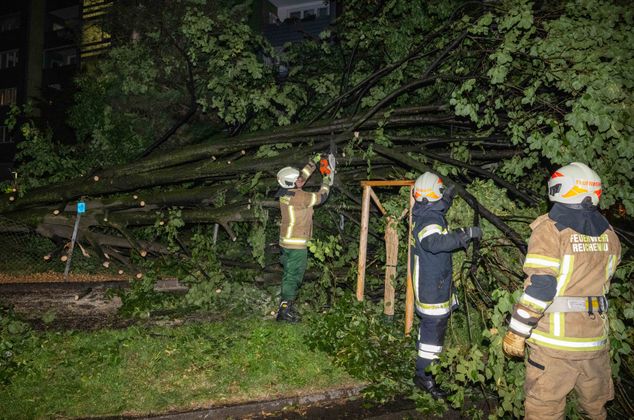 Feuerwehrleute beseitigen einen umgestürzten Baum in Innsbruck.