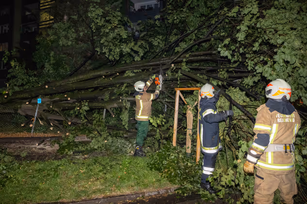 Feuerwehrleute beseitigen einen umgestürzten Baum in Innsbruck.