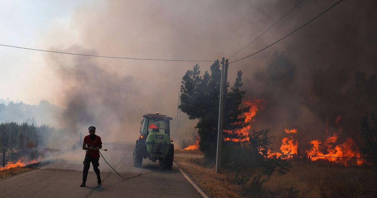 Waldbr-nde-in-S-deuropa-Auch-Portugal-bittet-um-EU-Hilfe