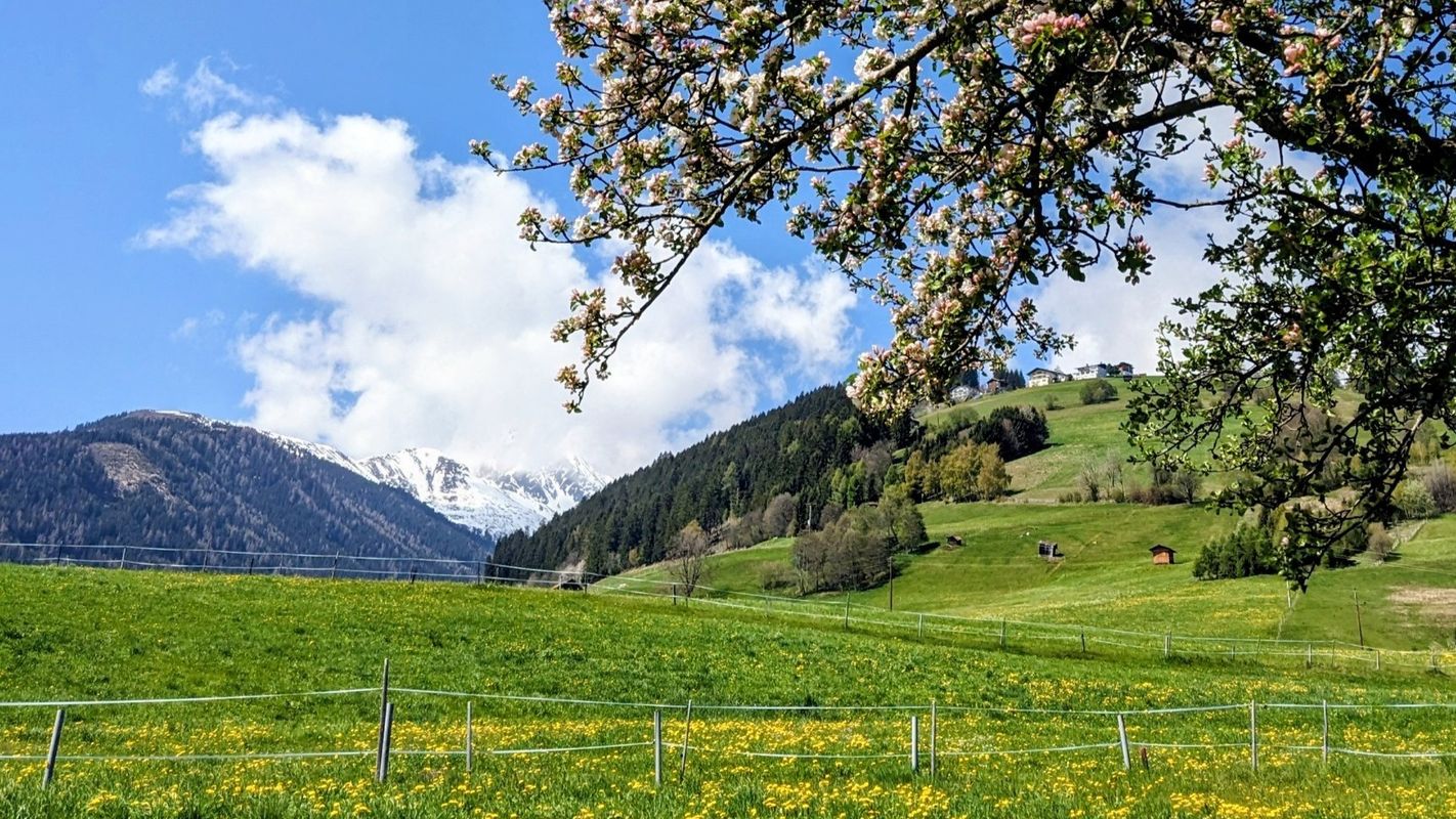 Vorbei mit den April-Kapriolen: Frühlingswetter kehrt in Tirol mit viel Sonne zurück