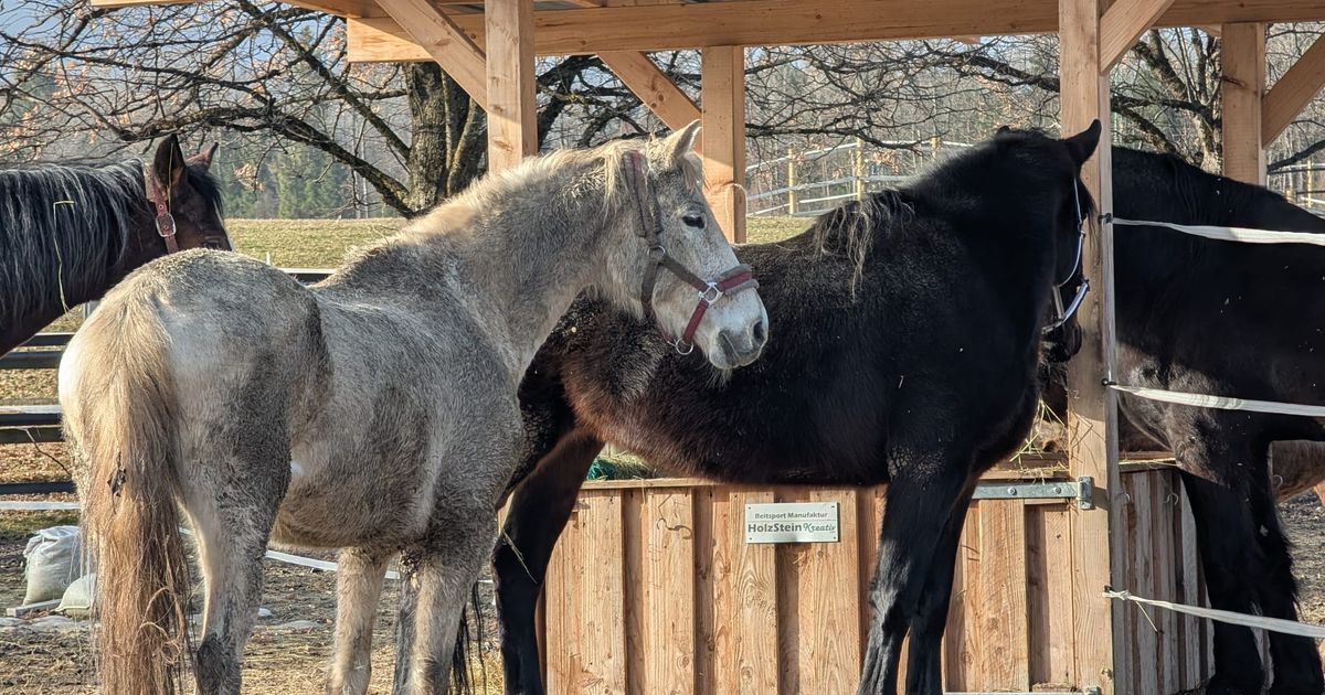 Warum-Merida-Twilight-und-Lillifee-aus-Deutschland-jetzt-in-Tirol-aufgep-ppelt-werden