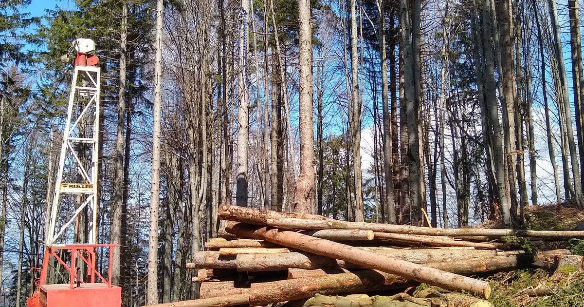 Baum-rutschte-ab-und-traf-Forstarbeiter-31-J-hriger-in-Innsbruck-schwer-verletzt