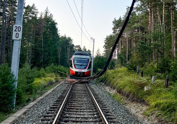 Böschungsbrand, Evakuierung der Insassen zweier Züge in Seefeld, Bezirk Innsbruck-LandAm 09.09.2023, gegen 17:50 Uhr, beschädigte ein Zug der ÖBB auf der Bahnstrecke zwischen Reith und Seefeld die Oberleitung.  Aufgrund der Beschädigung der Oberleitung dürften Splitter in den Bereich der Böschung geschleudert worden sein, weshalb eine Glimmbrand entstanden ist. Durch die beschädigte Oberleitung kam der Zug zum Stillstand. Zur gleichen Zeit kam ein anderer Zug aufgrund der Beschädigung der Oberleitung auf der Bahnstrecke, kurz vor dem Gemeindegebiet Seefeld, ebenfalls zum Stehen. Von den Einsatzkräften wurden ca. 130 Personen aus den beiden Zügen evakuiert und es wurde durch den Vorfall keiner der Personen verletzt. Der Böschungsbrand wurde von der Feuerwehr gelöscht. Im Einsatz standen die Freiwilligen Feuerwehren Reith bei Seefeld, Seefeld und Zirl mit 45 und die Rettung mit 13 Einsatzkräften. Die Bahnlinie zwischen Reith und Seefeld ist bis zur Schadensbehebung auf unbestimmte Zeit nicht befahrbar, seitens der ÖBB wurde ein Schienenersatzverkehr eingerichtet. Die Höhe des entstandenen Schaden an der Oberleitung bzw. des Triebwagens ist derzeit nicht bekannt.FOTO: TT/Liebl Daniel