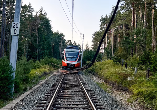 Böschungsbrand, Evakuierung der Insassen zweier Züge in Seefeld, Bezirk Innsbruck-LandAm 09.09.2023, gegen 17:50 Uhr, beschädigte ein Zug der ÖBB auf der Bahnstrecke zwischen Reith und Seefeld die Oberleitung.  Aufgrund der Beschädigung der Oberleitung dürften Splitter in den Bereich der Böschung geschleudert worden sein, weshalb eine Glimmbrand entstanden ist. Durch die beschädigte Oberleitung kam der Zug zum Stillstand. Zur gleichen Zeit kam ein anderer Zug aufgrund der Beschädigung der Oberleitung auf der Bahnstrecke, kurz vor dem Gemeindegebiet Seefeld, ebenfalls zum Stehen. Von den Einsatzkräften wurden ca. 130 Personen aus den beiden Zügen evakuiert und es wurde durch den Vorfall keiner der Personen verletzt. Der Böschungsbrand wurde von der Feuerwehr gelöscht. Im Einsatz standen die Freiwilligen Feuerwehren Reith bei Seefeld, Seefeld und Zirl mit 45 und die Rettung mit 13 Einsatzkräften. Die Bahnlinie zwischen Reith und Seefeld ist bis zur Schadensbehebung auf unbestimmte Zeit nicht befahrbar, seitens der ÖBB wurde ein Schienenersatzverkehr eingerichtet. Die Höhe des entstandenen Schaden an der Oberleitung bzw. des Triebwagens ist derzeit nicht bekannt.FOTO: TT/Liebl Daniel