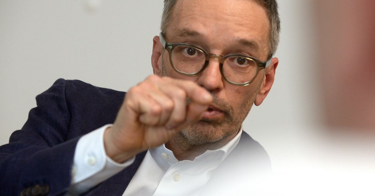 „Austria First“: Wem die Internetmedien der Partei nutzen – und was sie ...
