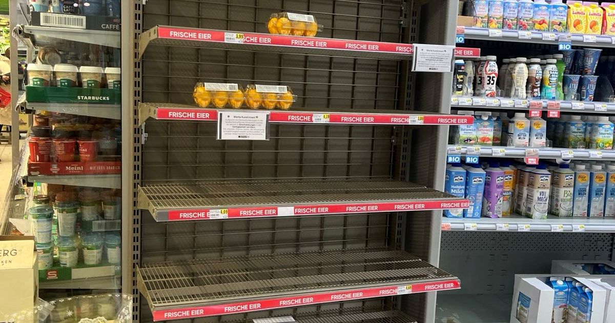 Eier-wir-brauchen-Eier-Warum-die-Regale-in-Tirol-derzeit-so-schnell-leer-sind