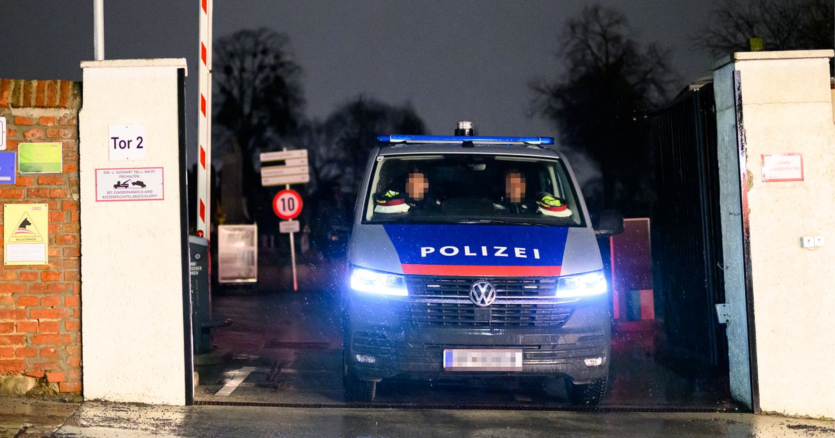 14-J-hrige-soll-Frau-auf-Wiener-Friedhof-get-tet-haben