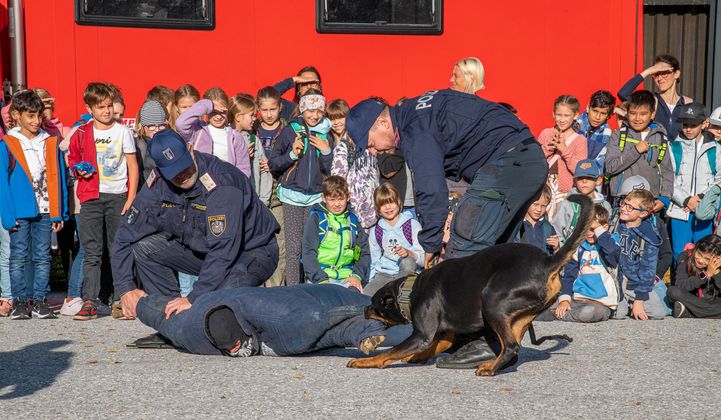 Vorführung der Hundestaffel.