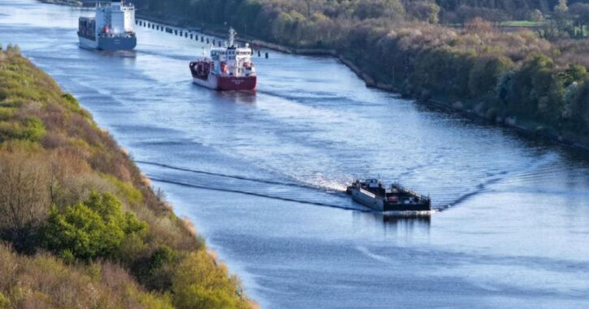 M-glicher-Abtransport-des-gestrandeten-Wals-diese-Woche