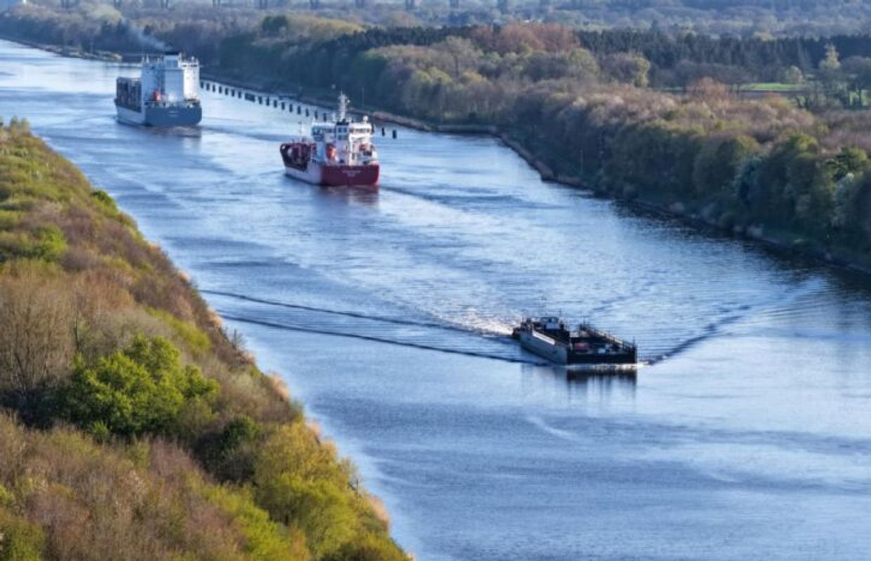 Möglicher Abtransport des gestrandeten Wals diese Woche