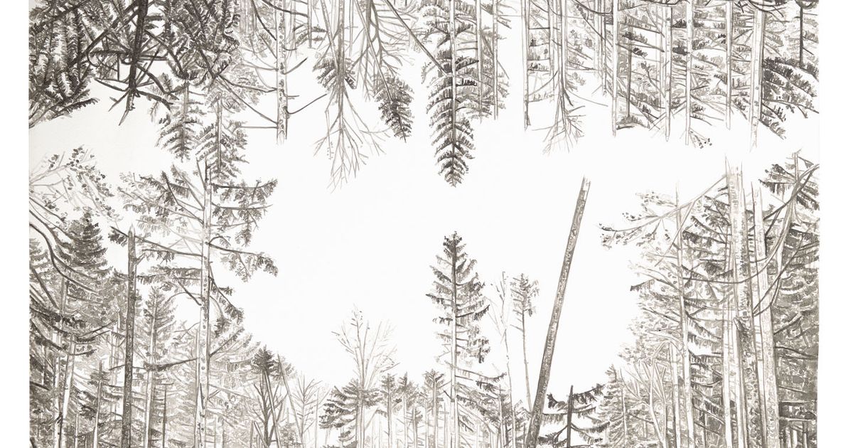 Preisgekr-nt-Gewinnerwerke-des-Grafikwettbewerbs-im-Zeughaus-zu-sehen