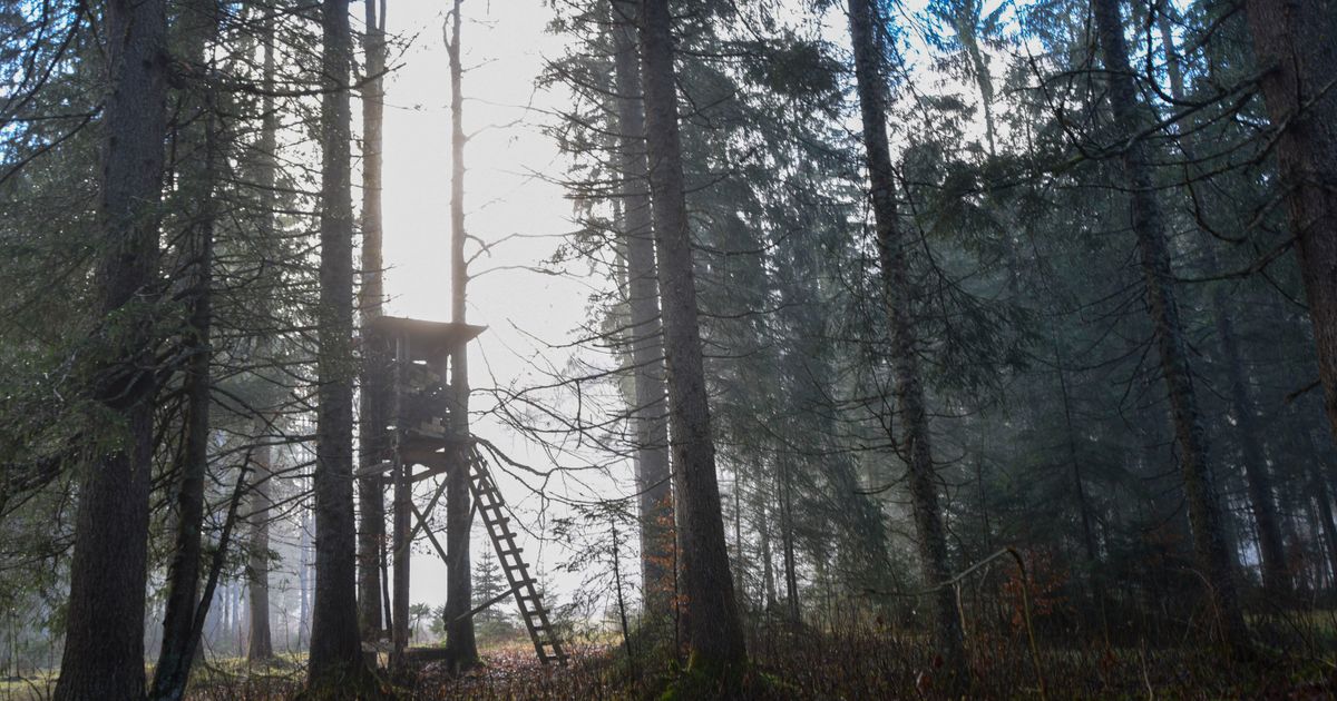 R-tsel-von-Wildtier-Innereien-in-M-nster-gekl-rt-J-ger-meldete-sich-bei-Polizei