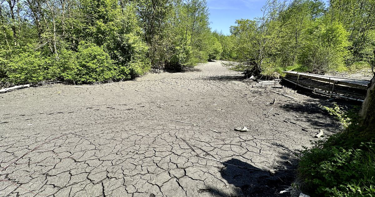 Historische Tiefstände und die Krise des Grundwassers