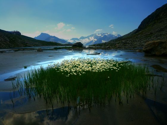 Friesenbergsee im Naturpark Zillertaler Alpen.