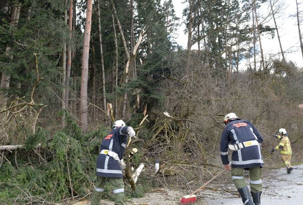 Feuerwehrmänner in der Hermann-Gemeiner-Straße.