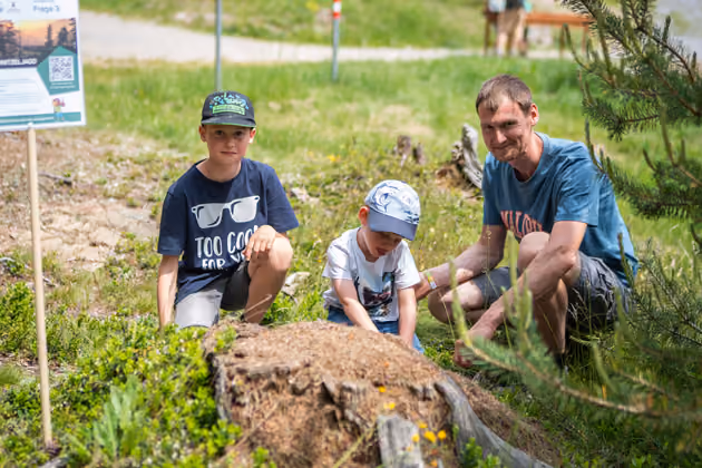 Jonas, Paul und ihr Papa Stefan (v.l.) beobachteten die Ameisen wie sie Nahrung und Baumaterialien zu ihrem Nest schleppen.