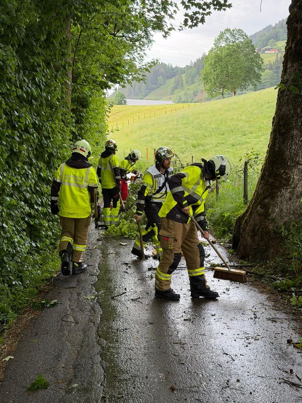 Unwetterfront zieht über Österreich, Person in Kitzbühel von Baum getroffen