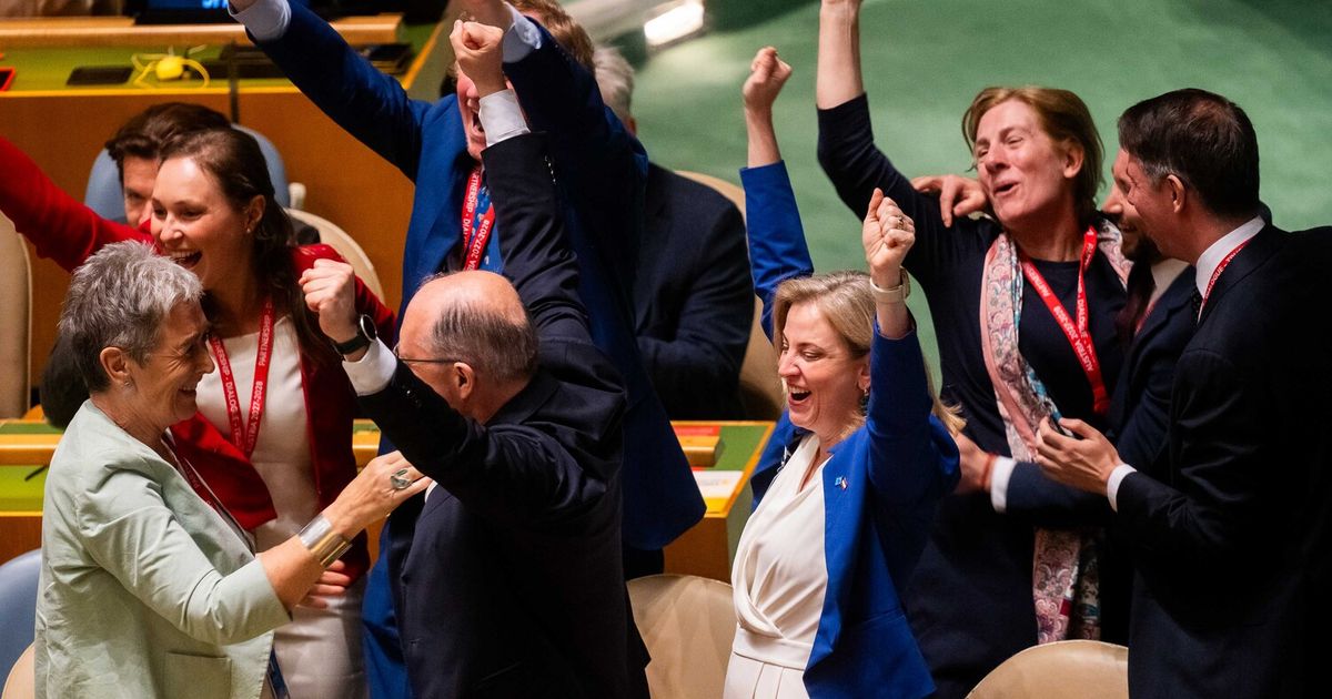 Diplomatic success: Austria secures a seat on the UN Security Council