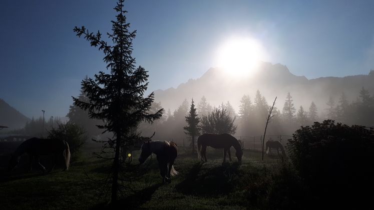Das Tragierzentrum in Hochfilzen am Morgen.