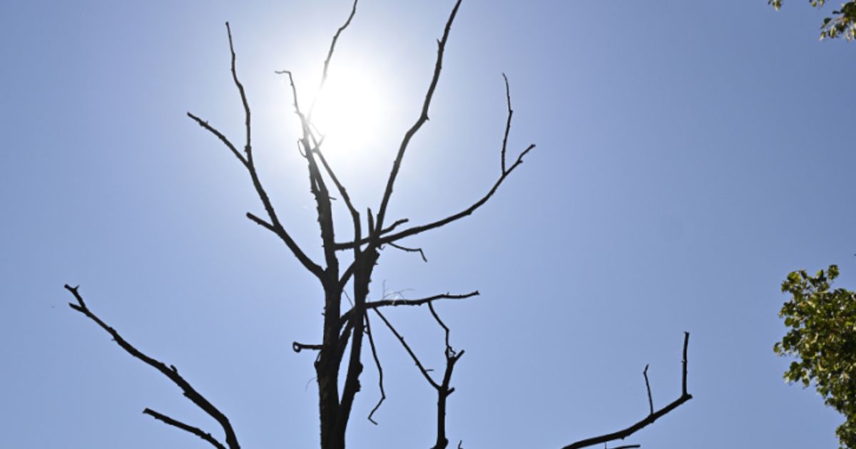 2025-war-drittw-rmstes-Jahr-seit-Beginn-der-Aufzeichnungen