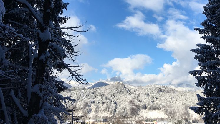 Einen Ausflug in den verschneiten Wald unternahm Denise Kronthaler.