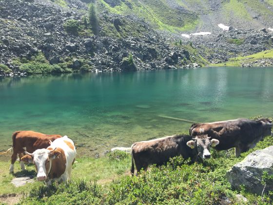 Brechsee im Pitztal