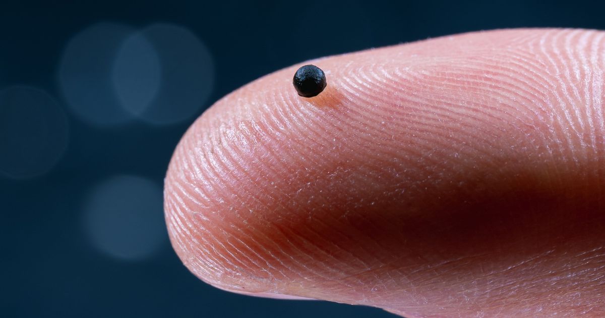 Zwei-Millimeter-gro-Mini-Roboter-soll-Medikamente-ins-Hirn-bringen