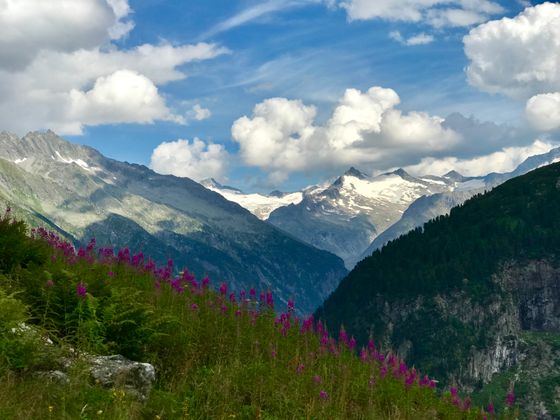 Vom Wesentlkar in Richtung Zemmgrund in den Zillertaler Alpen. Hinten links ist der Schwarzenstein zu sehen.