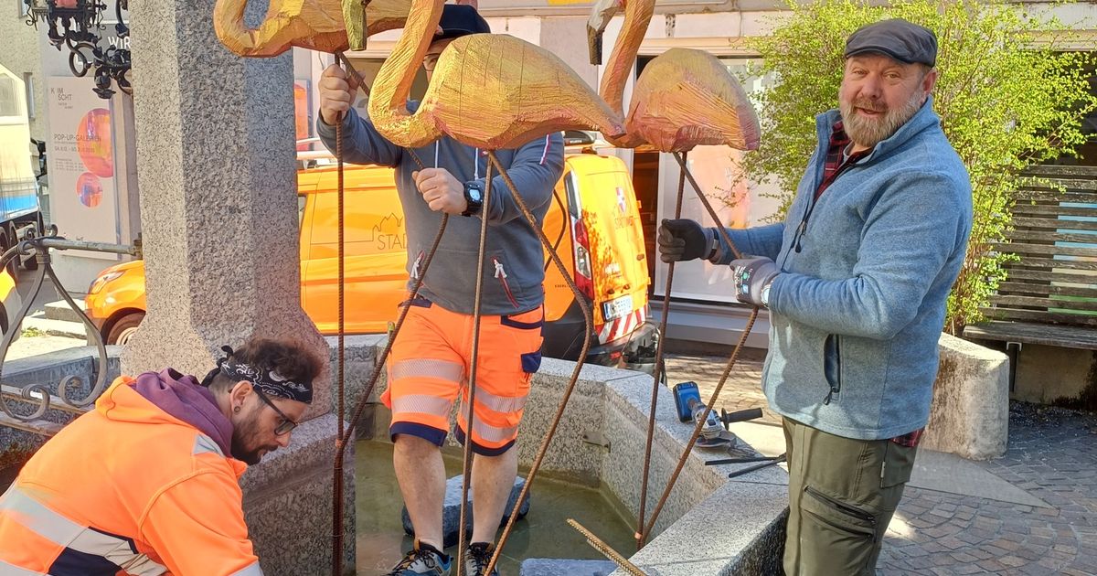 Rosa-Flamingos-schm-cken-Imster-Brunnen