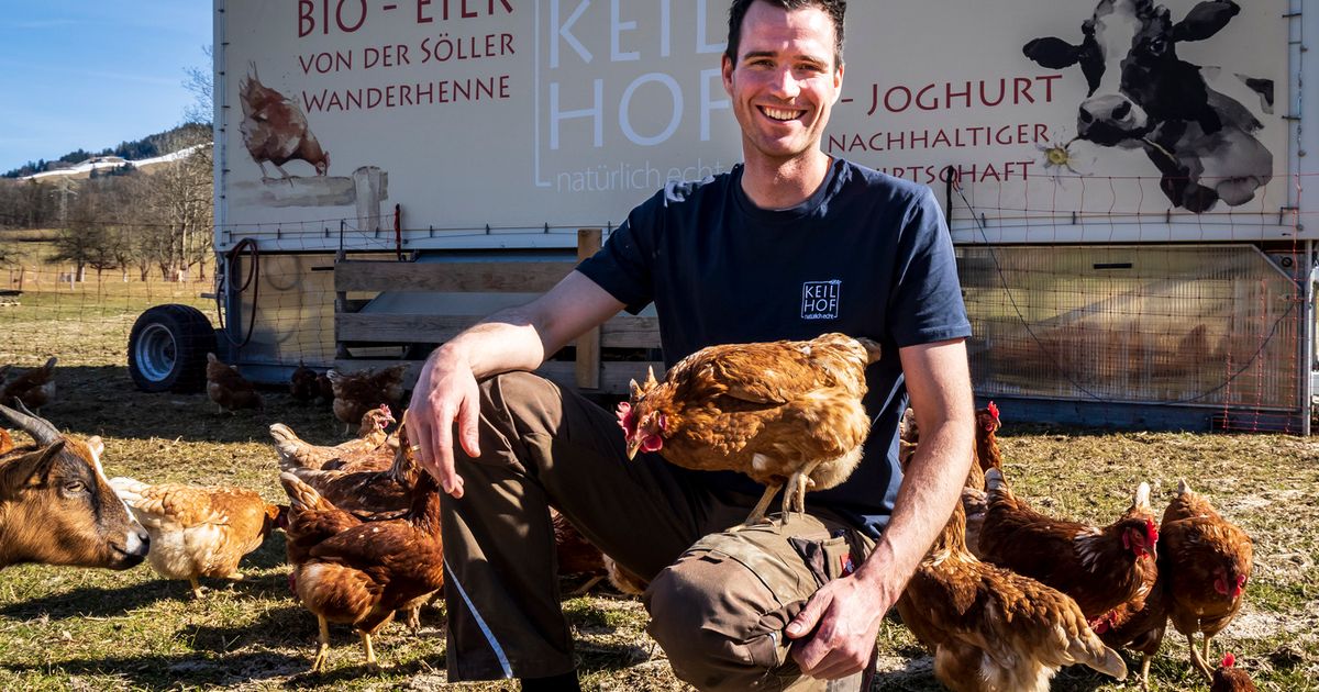 Die Kuh wird überflügelt: Deshalb leben auf Tirols Bauernhöfen mehr ...