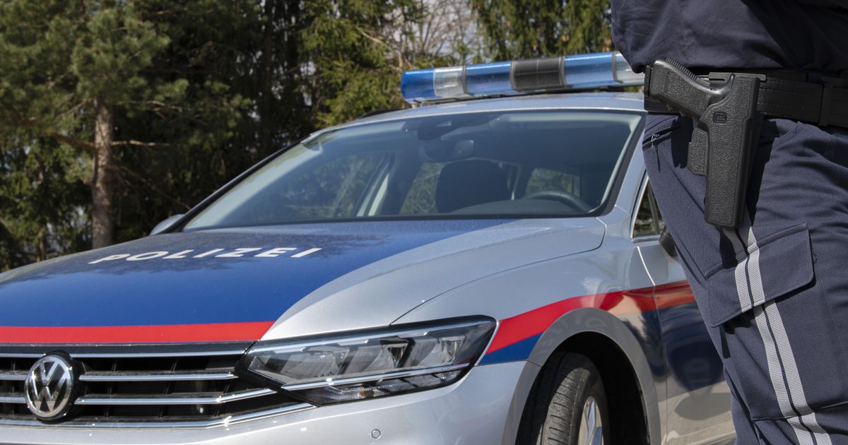 Dispute between brothers escalates: 27-year-old hit by car on the Seefeld ...