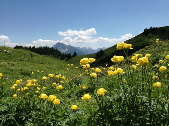 Der Blick vom Hahnenkamm in Reutte zum Thaneller.