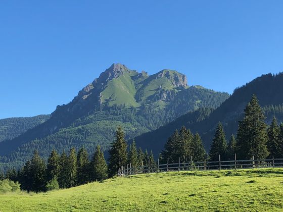 Ein Foto aus dem Tannheimer Tal.