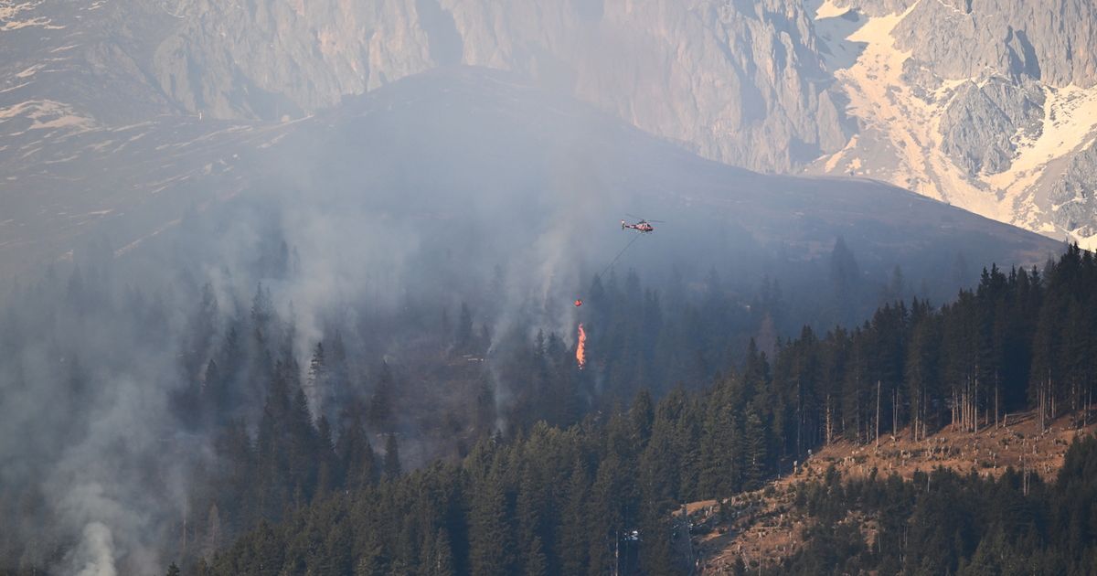Waldbrand-auf-der-Nordkette-Brand-soll-vor-Einbruch-der-Dunkelheit-einged-mmt-werden