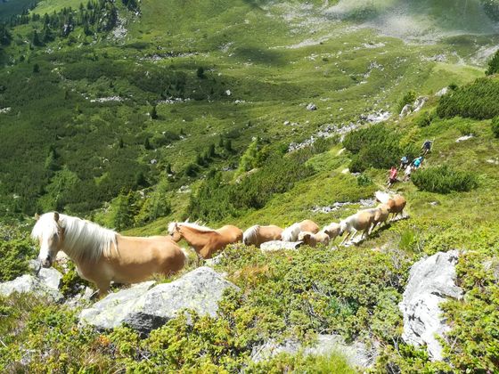 Auf dem Weg zur Karalm im Pinnestal.