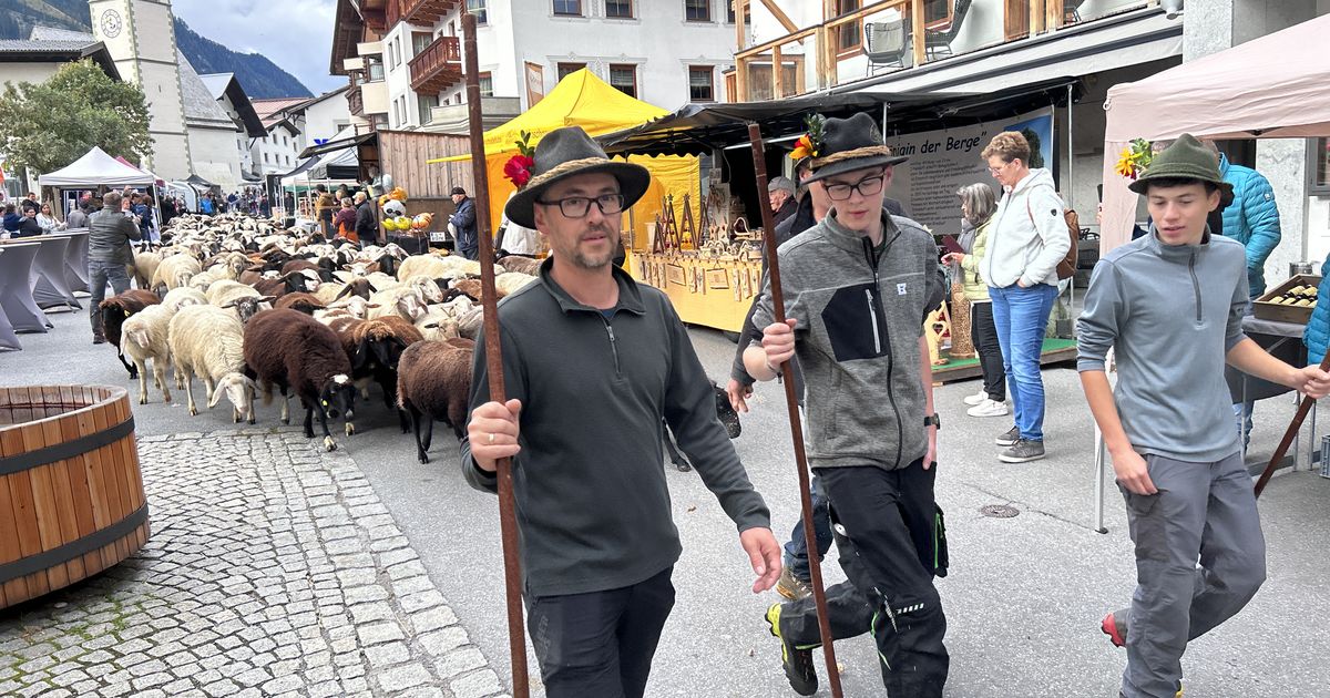 Ein-rotes-Tuch-f-r-viele-Warum-das-gr-te-Projekt-zum-Herdenschutz-in-Tirol-nicht-aufgibt