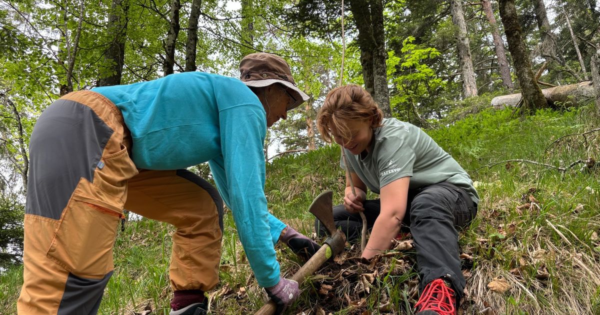 2150-B-ume-gepflanzt-Freiwillige-arbeiten-im-Kaisertal-am-klimafitten-Wald