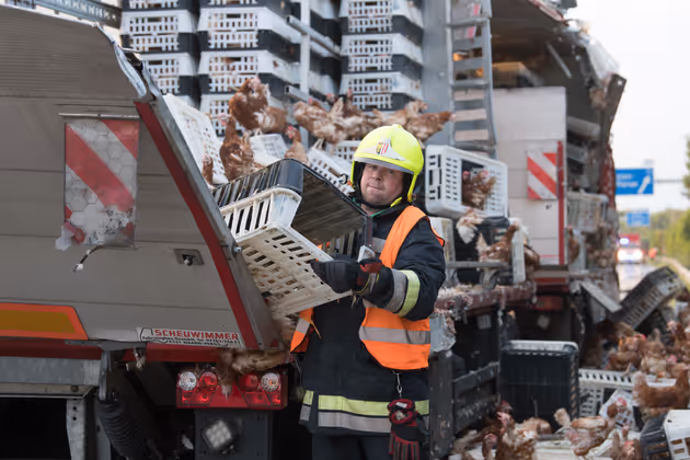 Sie wollten keinesfalls zurück in die Boxen.