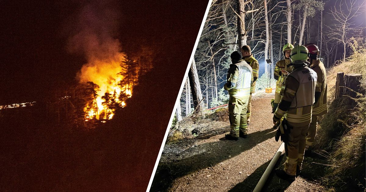 Waldbrand-in-Hochzirl-Mehrere-Feuerwehren-im-L-scheinsatz