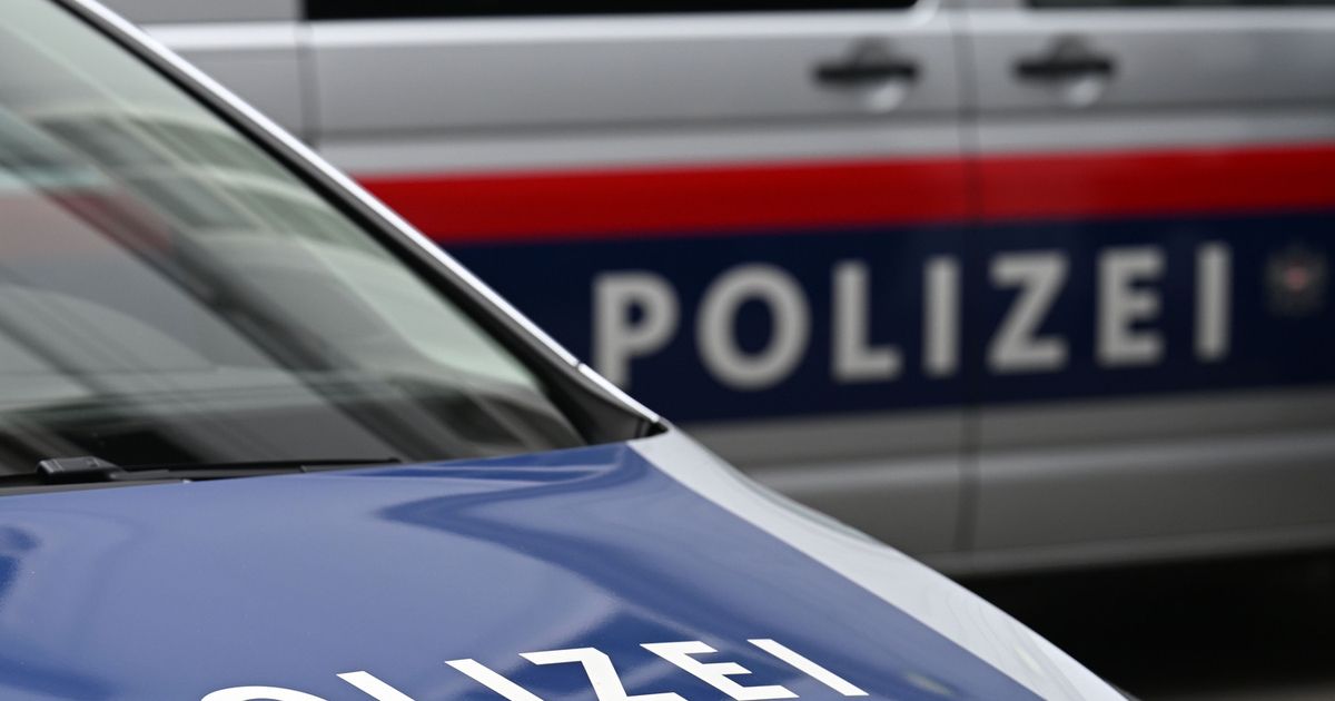 Katze-brutal-erschlagen-und-mitgefilmt-Polizei-ermittelt-wegen-Tierqu-lerei-im-Brixental
